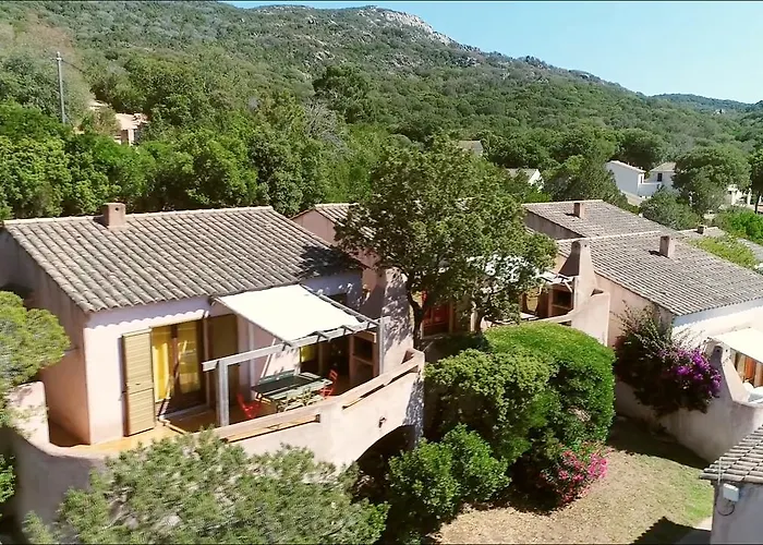 Hébergement de vacances U Cantu Di I Cardellini *