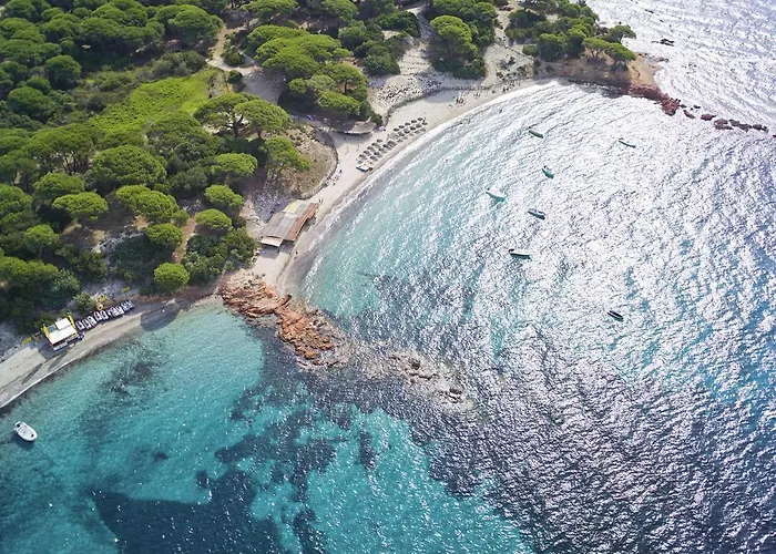 U Cantu Di I Cardellini