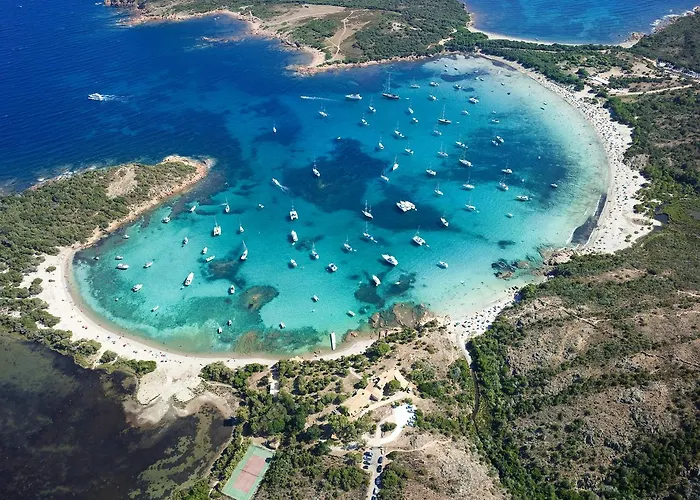 U Cantu Di I Cardellini *