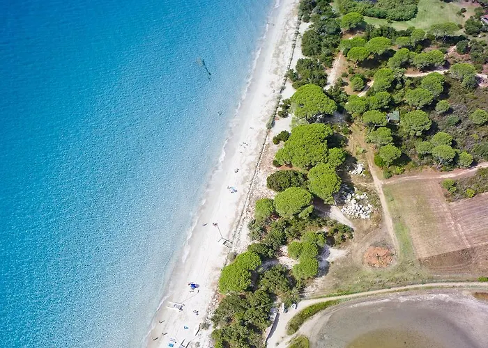 U Cantu Di I Cardellini